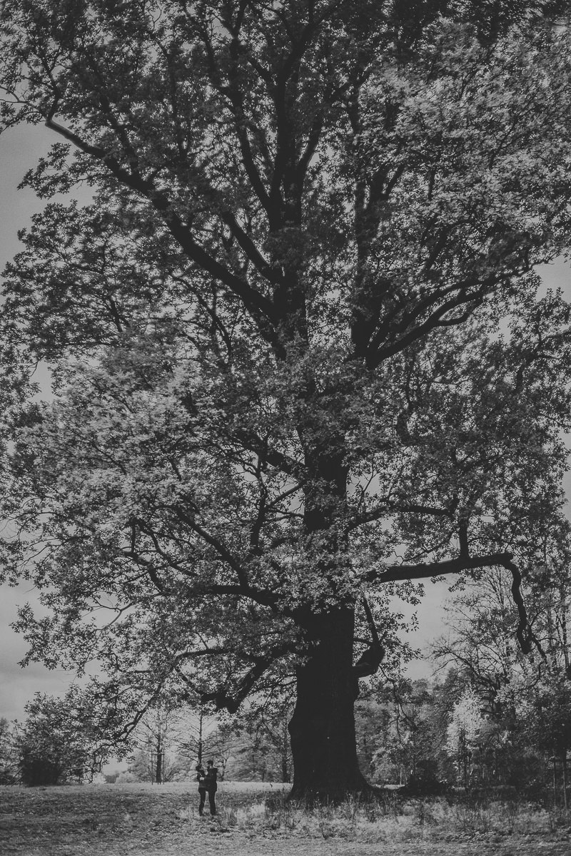 sesja jesienna poslubna Bukowiec mala para na tle ogromnego drzewa